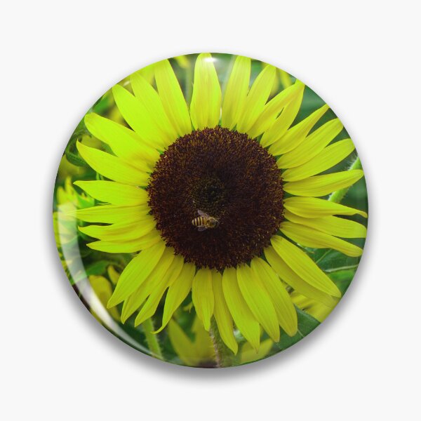 Item preview, The Lemon Sunflower and Her Visitor designed and sold by Jomsunshine.