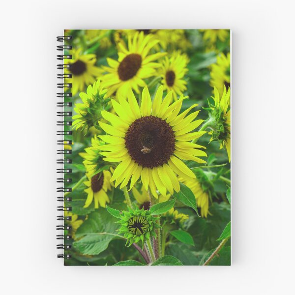 Item preview, The Lemon Sunflower and Her Visitor designed and sold by Jomsunshine.