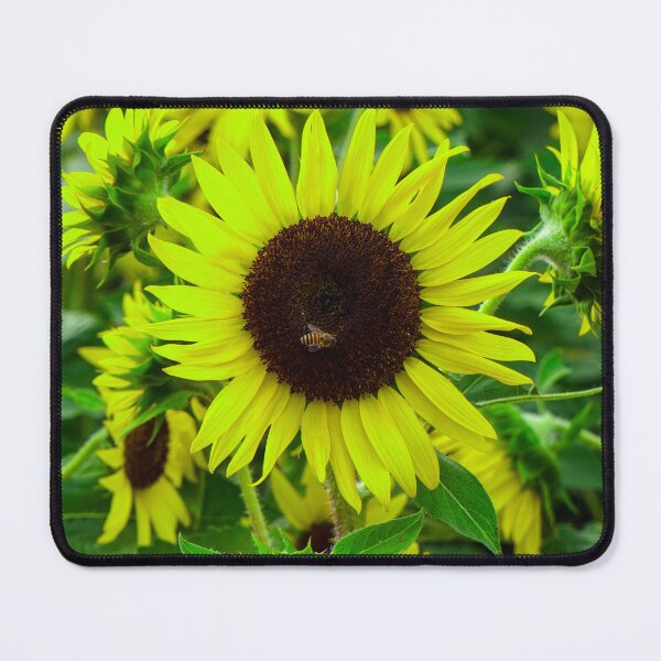 Item preview, The Lemon Sunflower and Her Visitor designed and sold by Jomsunshine.