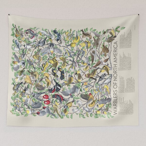 Item preview, Warblers of North America (Light Background with Labels) designed and sold by JadaFitch.