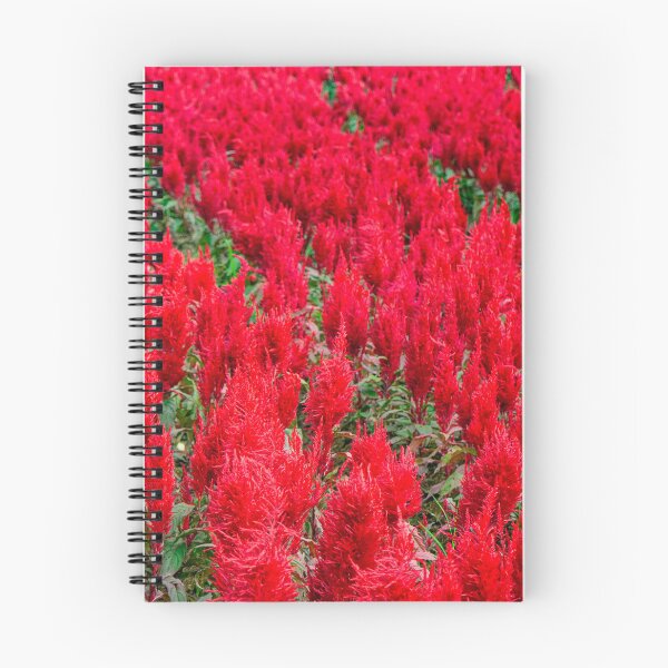 Item preview, The Red Flame Field — Celosia in Full Fire designed and sold by Jomsunshine.