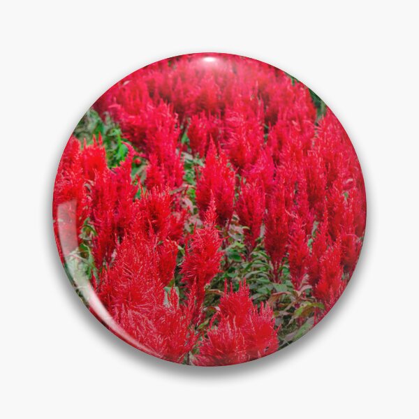 Item preview, The Red Flame Field — Celosia in Full Fire designed and sold by Jomsunshine.
