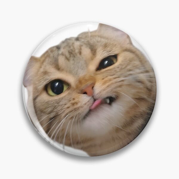 Item preview, Derpy Cat Funny Face – Silly Tongue Out Cat Meme designed and sold by Dyan4.