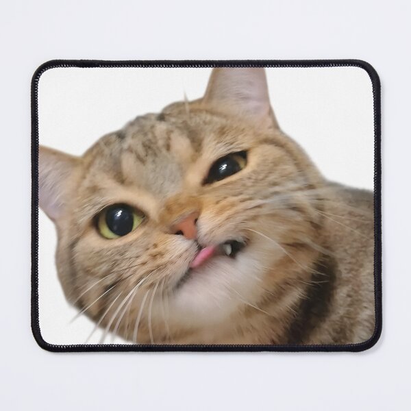 Item preview, Derpy Cat Funny Face – Silly Tongue Out Cat Meme designed and sold by Dyan4.