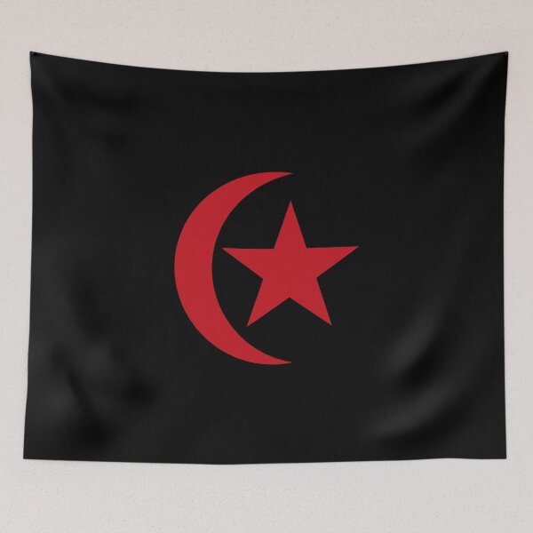 Aperçu de l'œuvre Emblème du Sahara occidental créée et vendue par shitpostee.