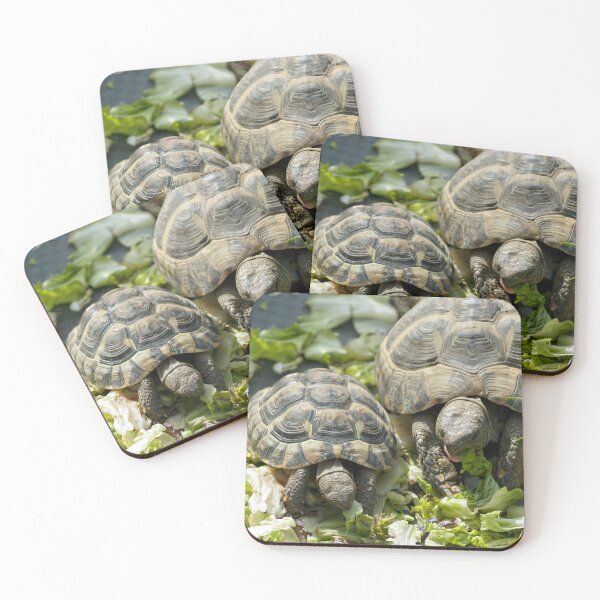 Item preview, Cute Mother and Baby Turtles Eating Together Photo designed and sold by Vac1.