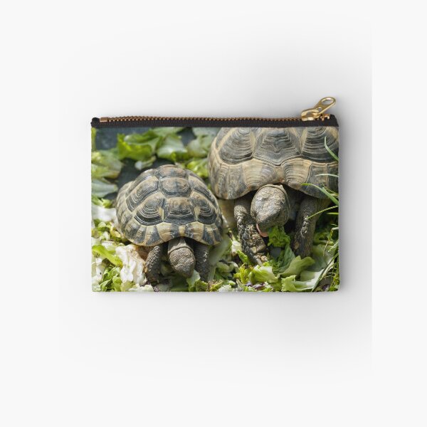 Item preview, Cute Mother and Baby Turtles Eating Together Photo designed and sold by Vac1.