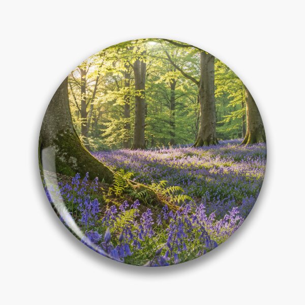 Artikelvorschau, Sonnenbeschienener Glockenblumenwald im Frühling, englischer Wald, goldenes Morgenlicht entworfen und verkauft von ThatSurreyLife.