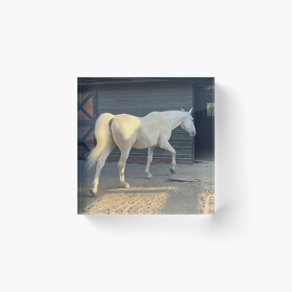 Item preview, White Beauty. Year Of The Horse. designed and sold by BackyardBuds.