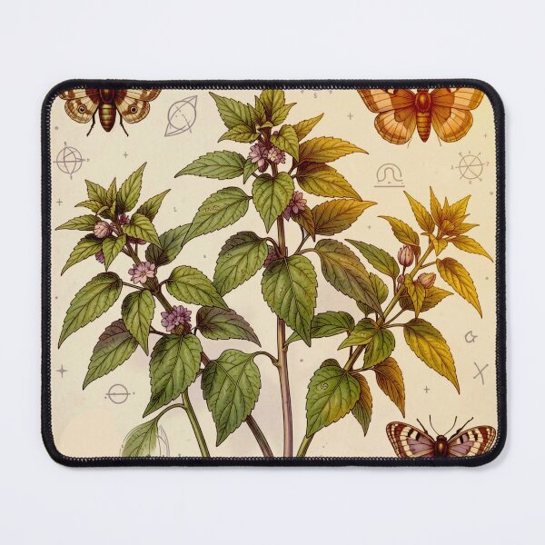 Item preview, Herbarium and Alchemy Arrangement #5 designed and sold by Helios Be. Lavsh.