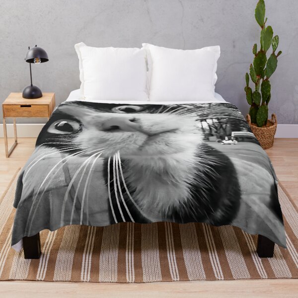 Item preview, The curious cat designed and sold by VisionCrafft.