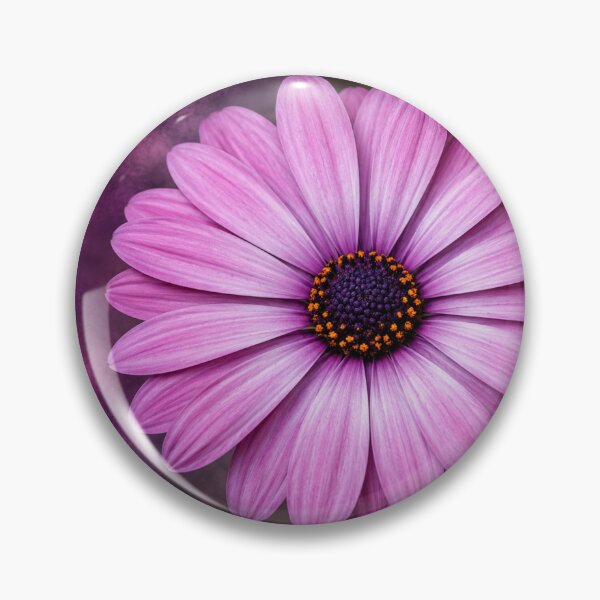 Item preview, Purple African Daisy in Bloom designed and sold by Kimberly Palmer.