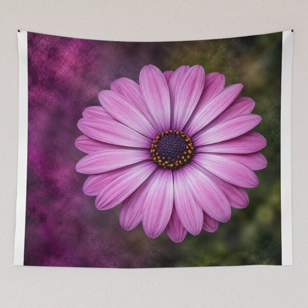 Item preview, Purple African Daisy in Bloom designed and sold by Kimberly Palmer.