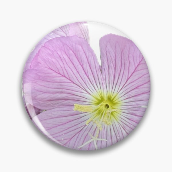 Item preview, Regal Evening Primrose Botanical Statement Art Print designed and sold by BalkanBloom.