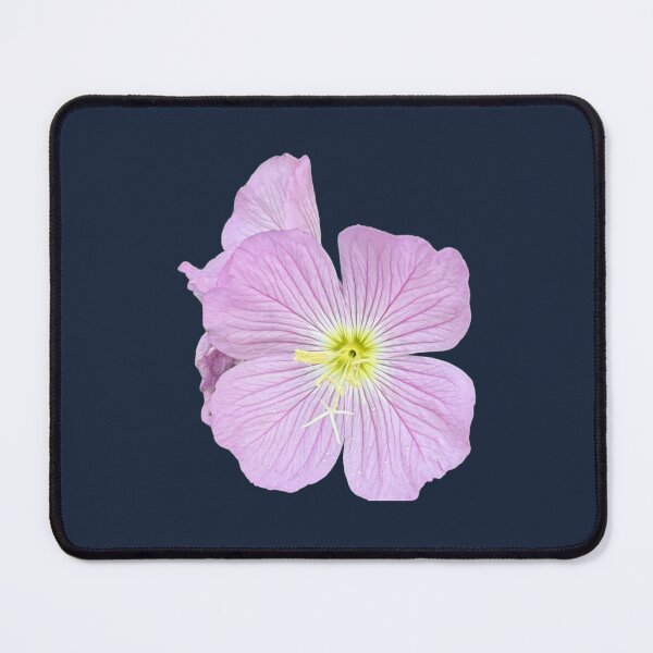 Item preview, Regal Evening Primrose Botanical Statement Art Print designed and sold by BalkanBloomArt.