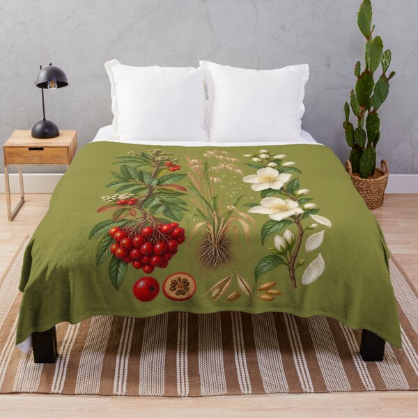 Item preview, Rowan Berries, Wild Oats and Jasmine Vintage Botanical Specimen Plate designed and sold by Anyshca.