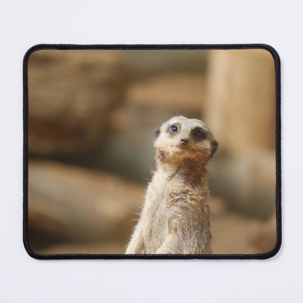 Item preview, Curious Meerkat designed and sold by enygma-x.