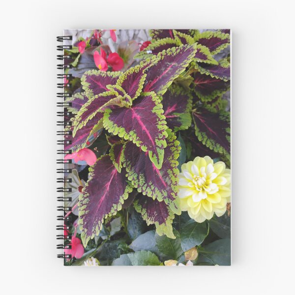 Item preview, Pretty flower  designed and sold by squ1d1nk479.