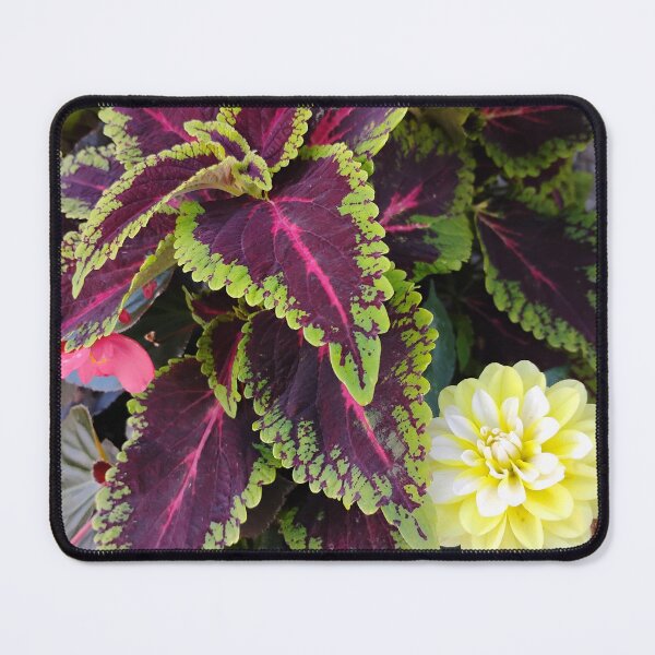 Item preview, Pretty flower designed and sold by squ1d1nk479.
