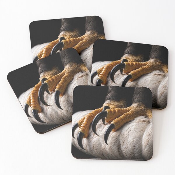 Item preview, Power in the Talons designed and sold by Kimberly Palmer.
