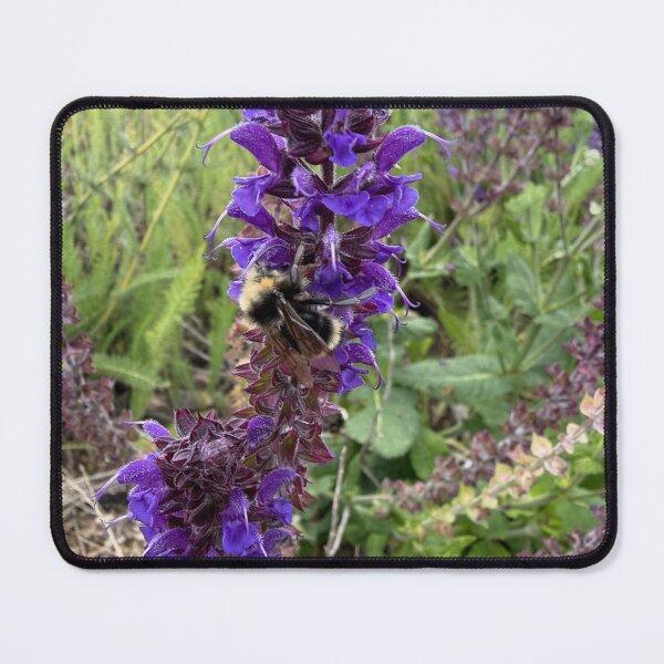 Item preview, Hidden in the Lavender Haze designed and sold by Betsy Phillips.