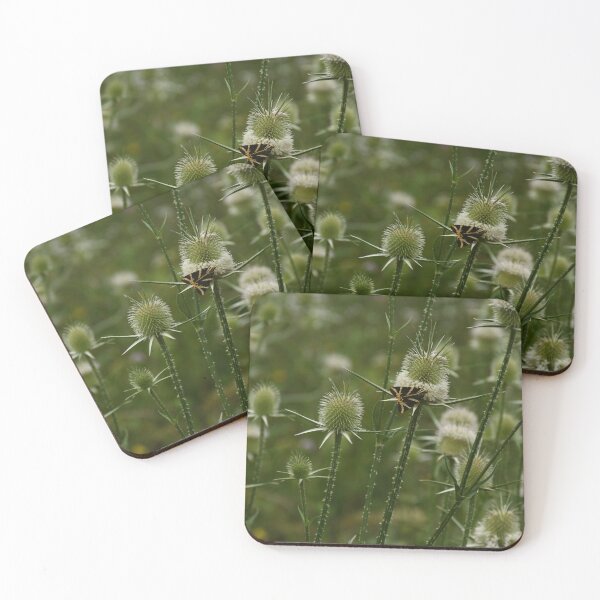 Item preview, Wild butterfly  designed and sold by TNT-Atelier.