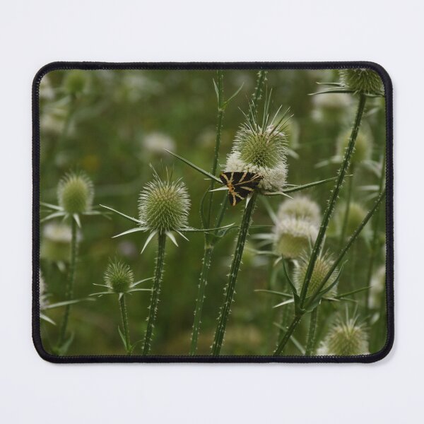 Item preview, Wild butterfly designed and sold by TNT-Atelier.