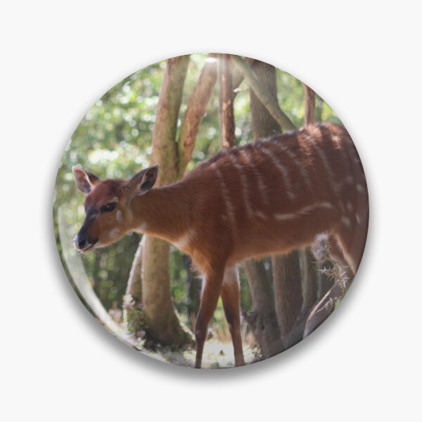 Item preview, Sitatunga Antelope designed and sold by enygma-x.