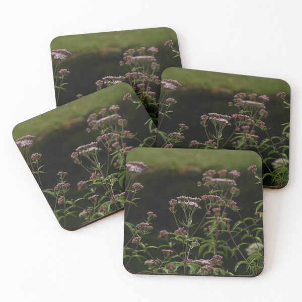 Item preview, Wild Angelica  designed and sold by TNT-Atelier.