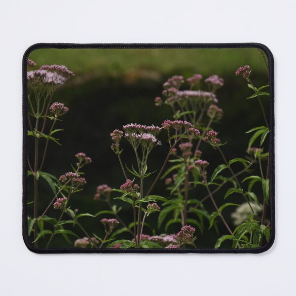 Item preview, Wild Angelica  designed and sold by TNT-Atelier.