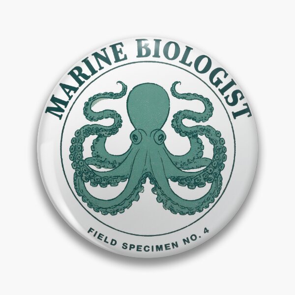 Artikelvorschau, Meeresbiologe Oktopus-Exemplar entworfen und verkauft von Coastal Garden Design Studio.