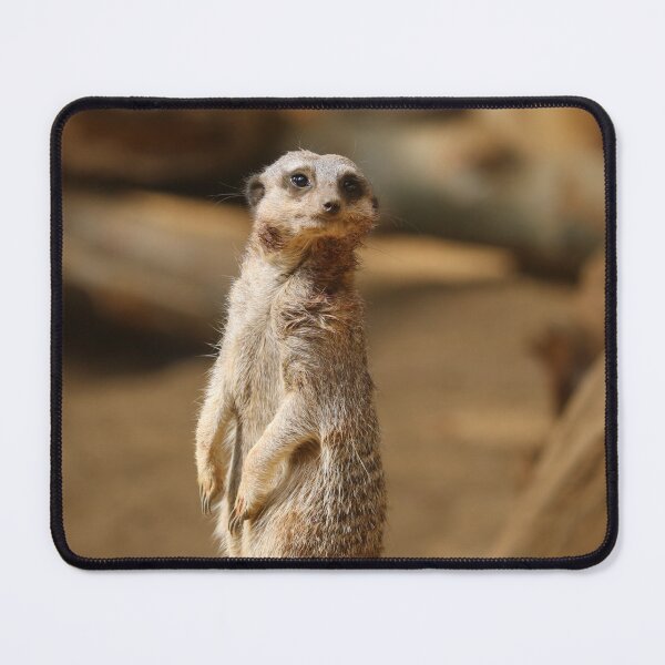 Item preview, Meerkat designed and sold by enygma-x.