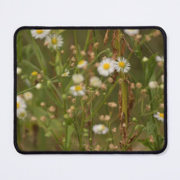Item preview, Daisy Fleabane designed and sold by TNT-Atelier.