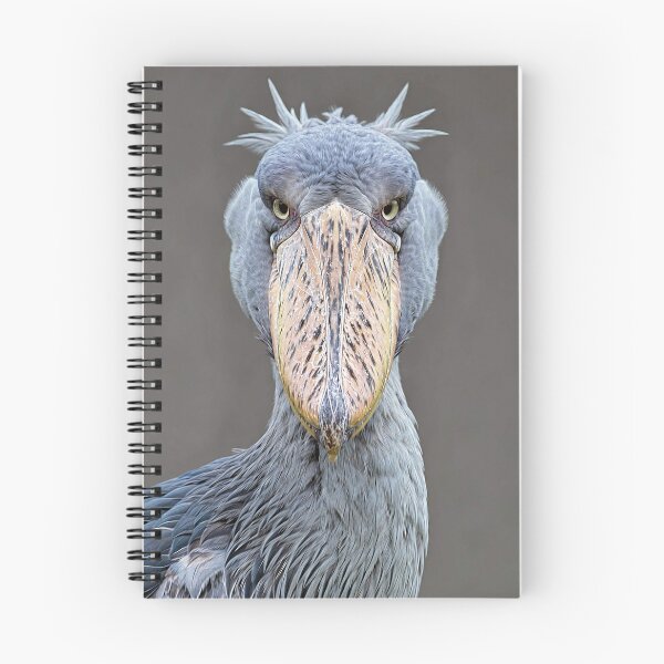 Item preview, Shoebill  designed and sold by Savannah Gibbs.