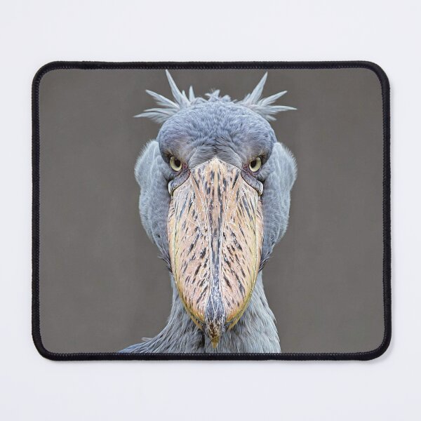 Item preview, Shoebill  designed and sold by Savannah Gibbs.