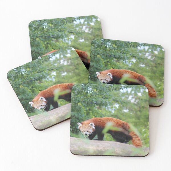 Item preview, Red Panda On A Branch designed and sold by enygma-x.