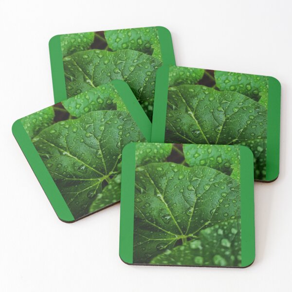 Item preview, Green Plant with Water Droplets designed and sold by Dew Drop Designs.