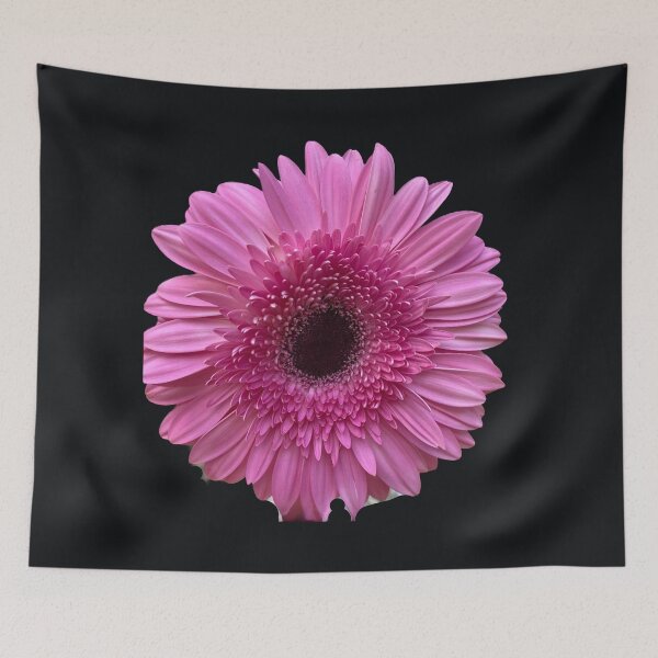 Item preview, Isolated Pink Gerbera Daisy designed and sold by BalkanBloomArt.