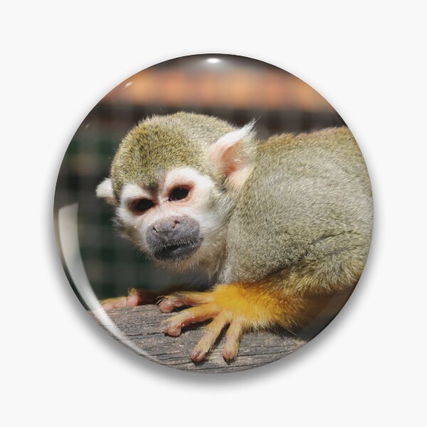 Item preview, Squirrel Monkey on a Branch designed and sold by enygma-x.