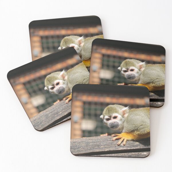 Item preview, Squirrel Monkey on a Branch designed and sold by enygma-x.