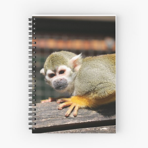 Item preview, Squirrel Monkey on a Branch designed and sold by enygma-x.