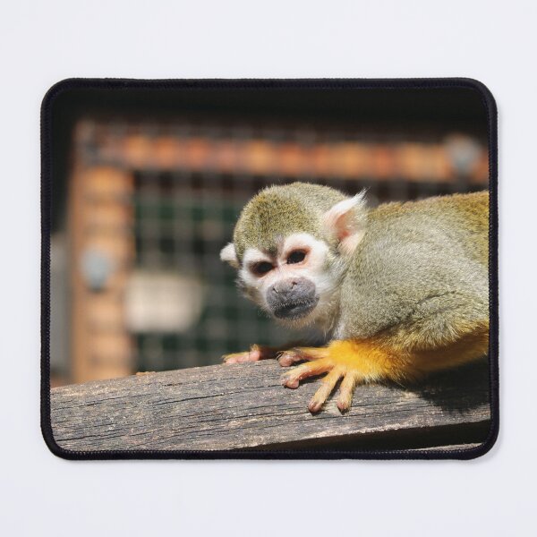 Item preview, Squirrel Monkey on a Branch designed and sold by enygma-x.