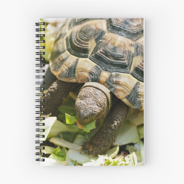 Item preview, Turtle Eating Fresh Greens Nature Photography designed and sold by Vac1.