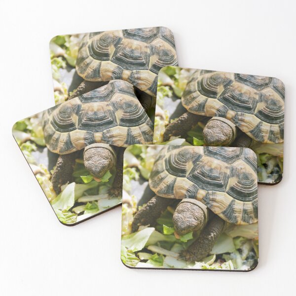 Item preview, Turtle Eating Fresh Greens Nature Photography designed and sold by Vac1.