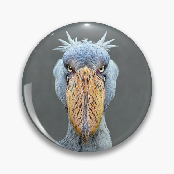 Item preview, Shoebill Stork Close-up Portrait designed and sold by Savannah Gibbs.