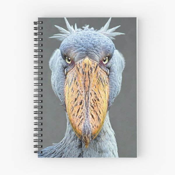 Item preview, Shoebill Stork Close-up Portrait designed and sold by Savannah Gibbs.