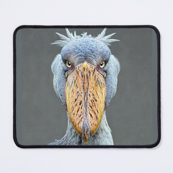 Item preview, Shoebill Stork Close-up Portrait designed and sold by Savannah Gibbs.