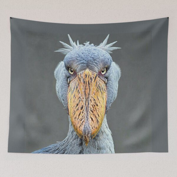 Item preview, Shoebill Stork Close-up Portrait designed and sold by Savannah Gibbs.