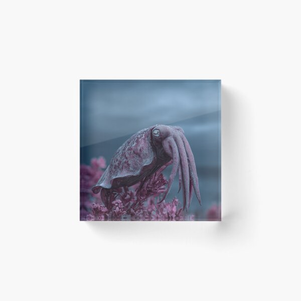 Item preview, Strange Sea Creature Cryptid | Surreal Ocean Oddity designed and sold by GSizzle1.