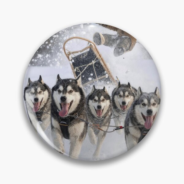 Item preview, Out of Control Team of Huskies Pulling a Sled designed and sold by Maria Dryfhout.